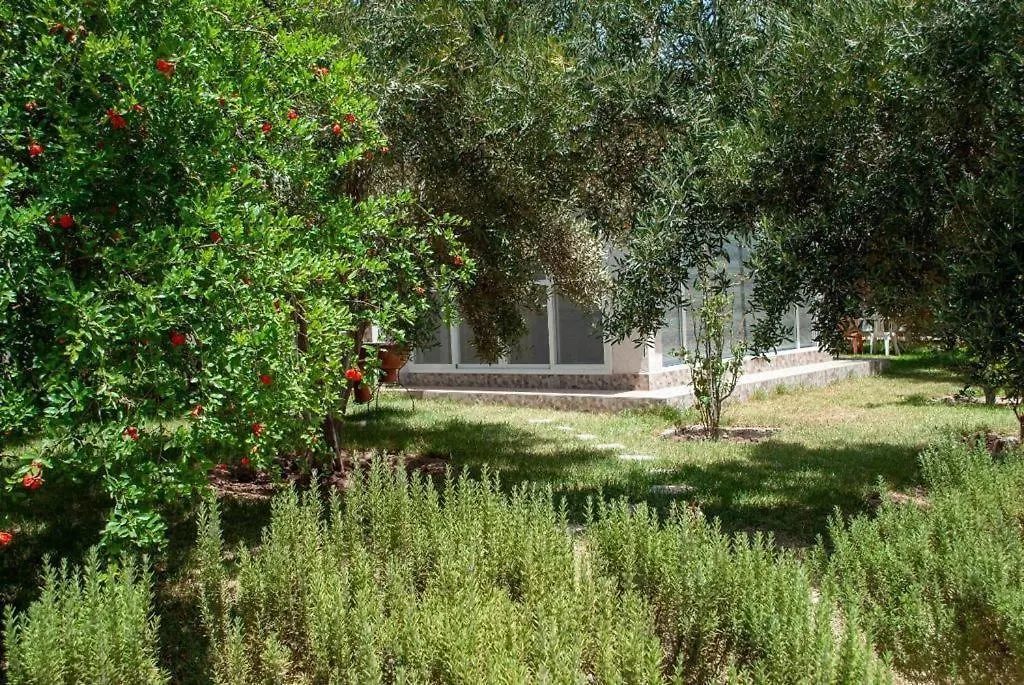 Dar Yakout Villa Suvayr